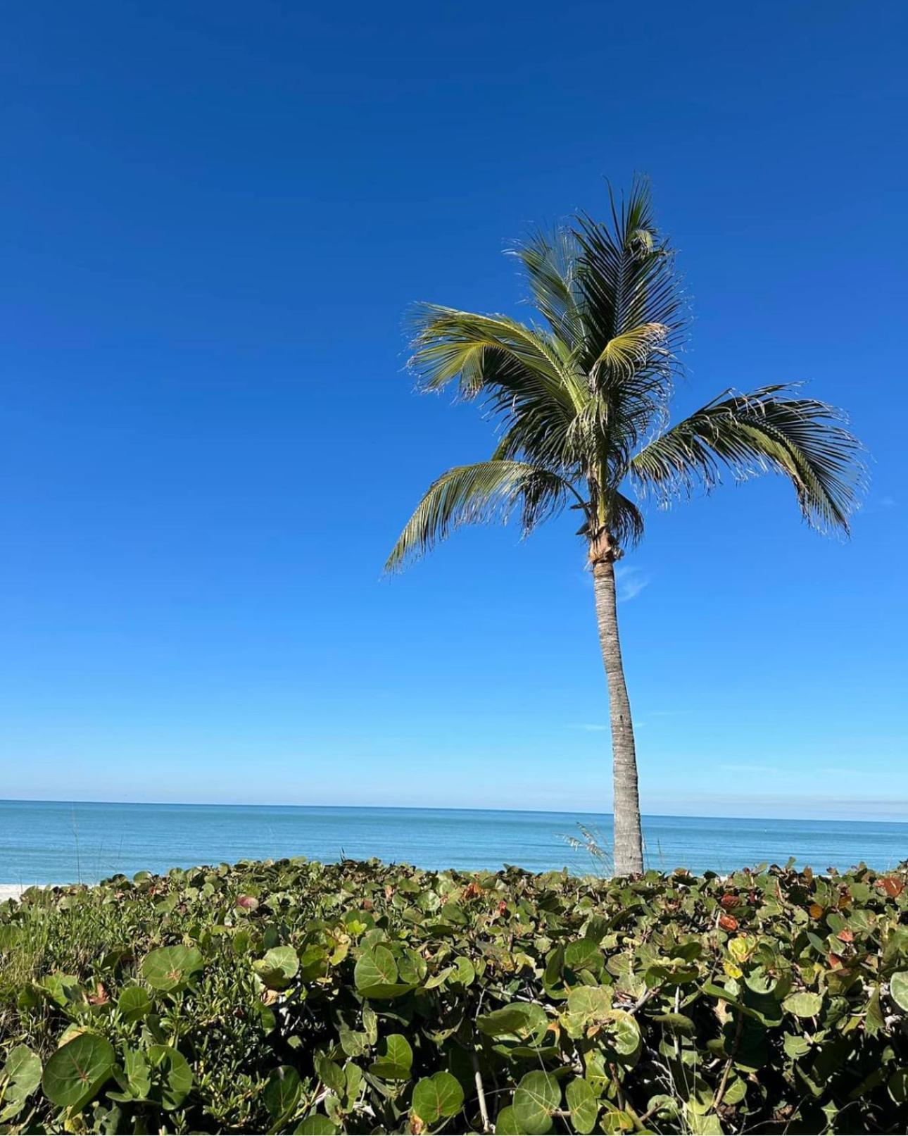 Captiva Bayside Villas 1 Bedroom 2 Bath - Sleep 4 Captiva Island المظهر الخارجي الصورة